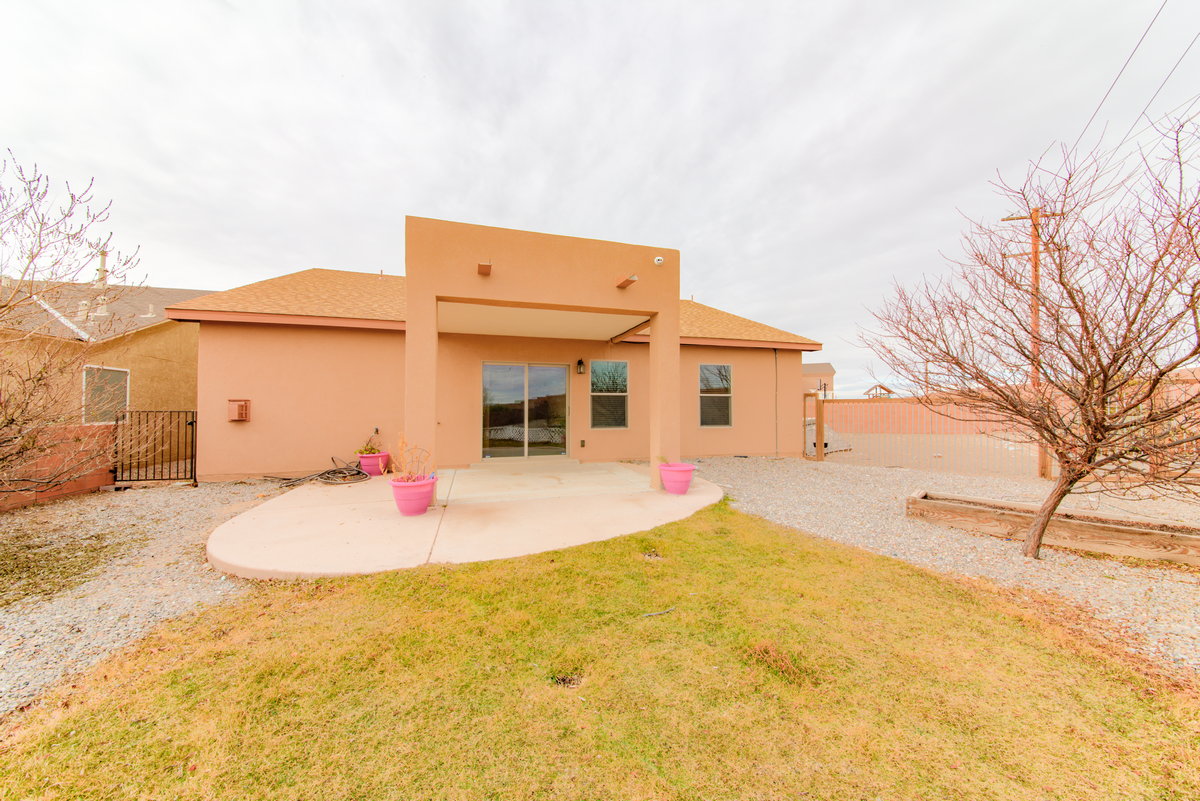 Tulipan – Northwest ABQ