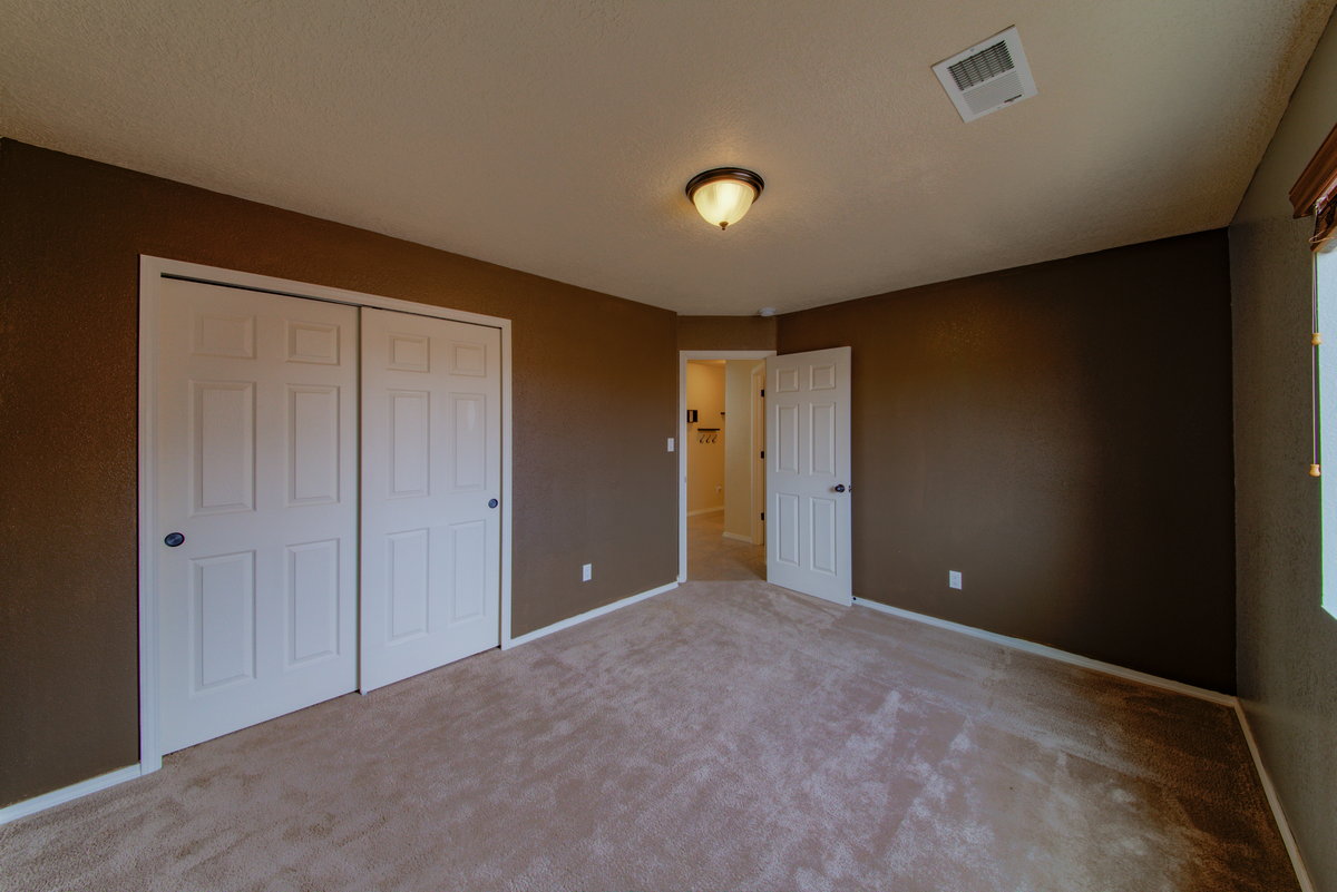 Tulipan – Northwest ABQ